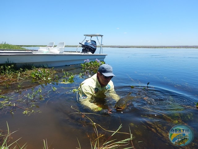 PIRA LODGE - Pantanal Argentino - Temporada 2.016